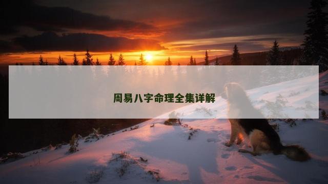 周易八字命理全集详解