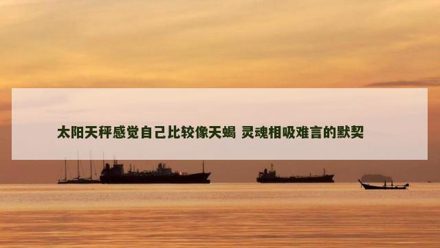 太阳天秤感觉自己比较像天蝎 灵魂相吸难言的默契 　　