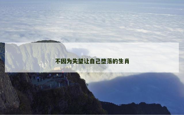 不因为失望让自己堕落的生肖
