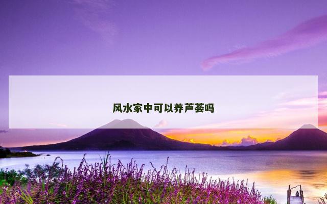 风水家中可以养芦荟吗