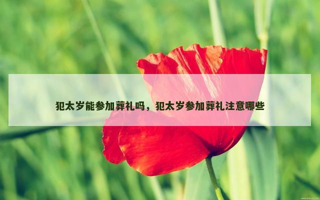 犯太岁能参加葬礼吗，犯太岁参加葬礼注意哪些