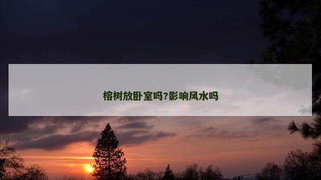 榕树放卧室吗?影响风水吗