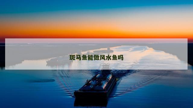 斑马鱼能做风水鱼吗