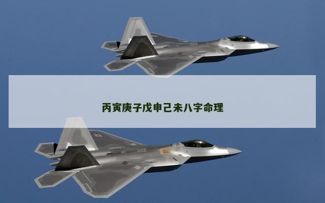丙寅庚子戊申己未八字命理