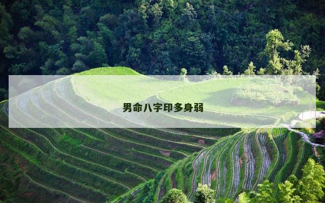 男命八字印多身弱
