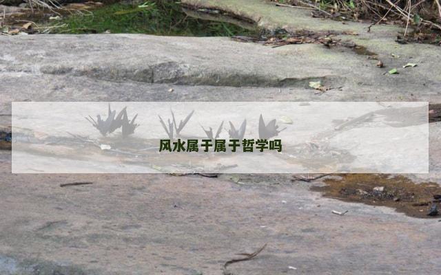风水属于属于哲学吗