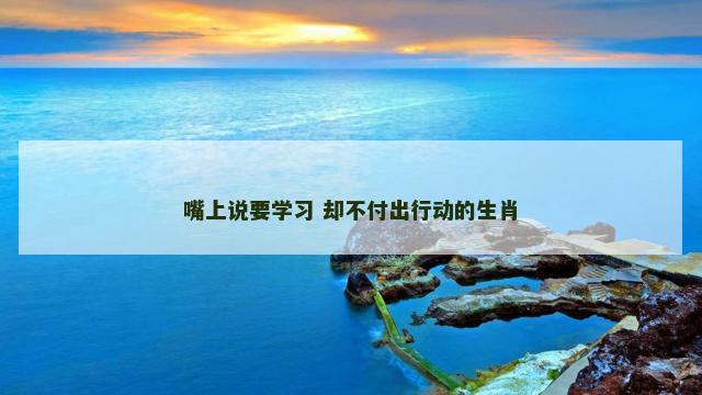 嘴上说要学习 却不付出行动的生肖