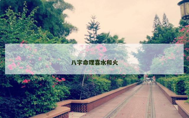 八字命理喜水和火