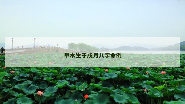 甲木生于戌月八字命例