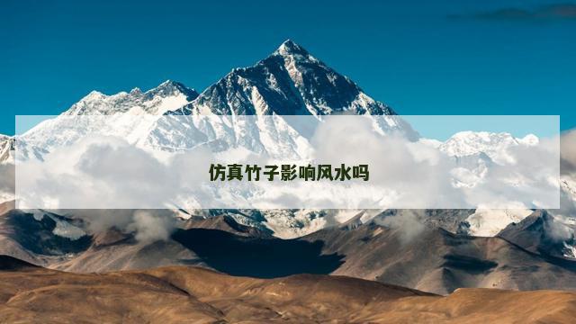 仿真竹子影响风水吗
