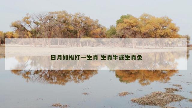 日月如梭打一生肖 生肖牛或生肖兔