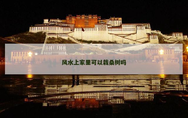 风水上家里可以栽桑树吗
