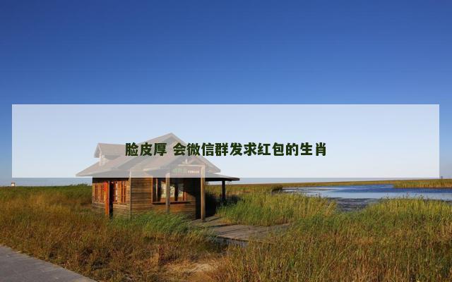脸皮厚 会微信群发求红包的生肖