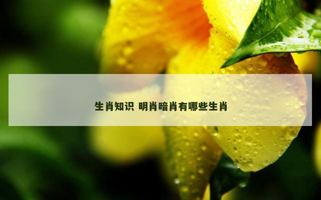 生肖知识 明肖暗肖有哪些生肖