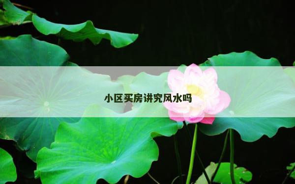 小区买房讲究风水吗