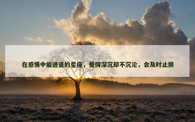 在感情中能进退的星座，爱得深沉却不沉沦，会及时止损