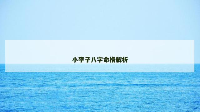 小李子八字命格解析