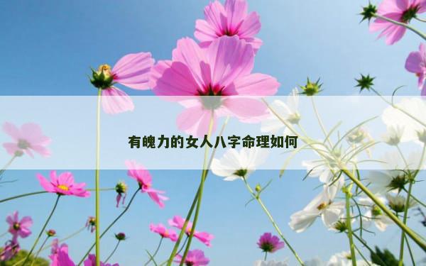 有魄力的女人八字命理如何