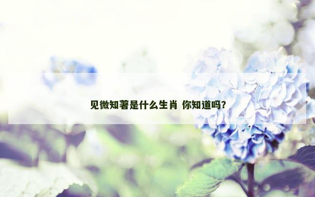 见微知著是什么生肖 你知道吗？