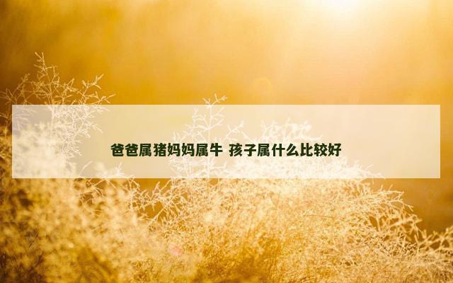爸爸属猪妈妈属牛 孩子属什么比较好