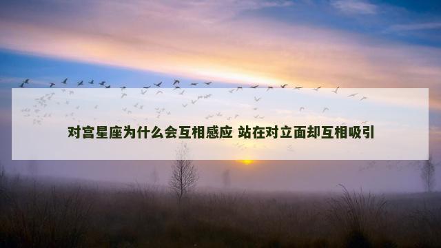 对宫星座为什么会互相感应 站在对立面却互相吸引