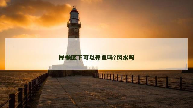 屋檐底下可以养鱼吗?风水吗