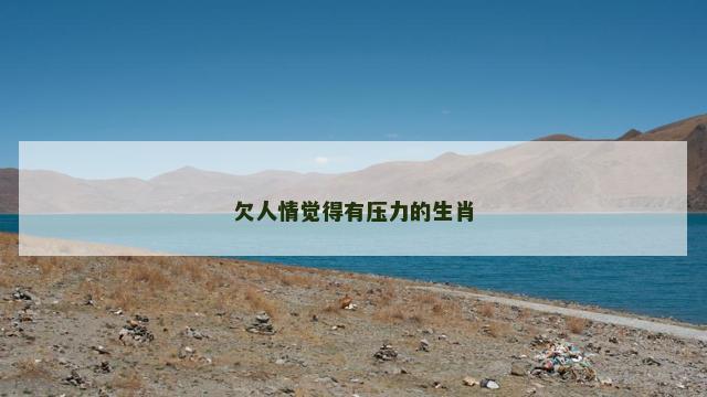 欠人情觉得有压力的生肖