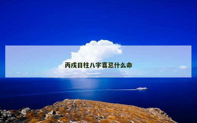 丙戌日柱八字喜忌什么命