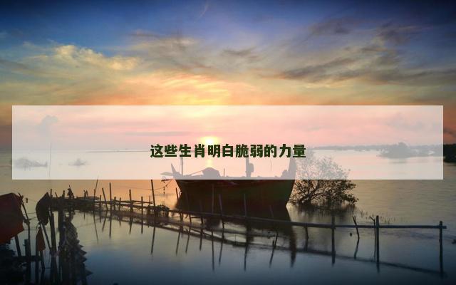 这些生肖明白脆弱的力量