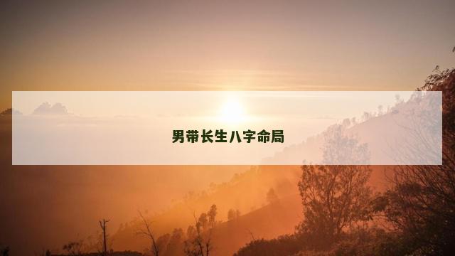 男带长生八字命局