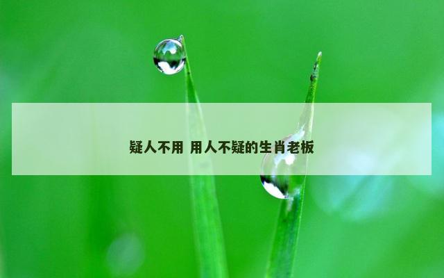 疑人不用 用人不疑的生肖老板