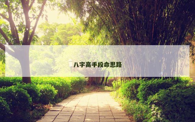 八字高手段命思路
