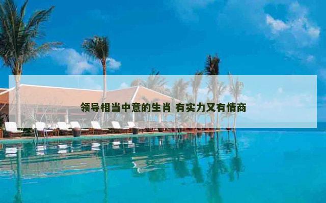 领导相当中意的生肖 有实力又有情商