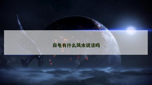 白龟有什么风水说法吗