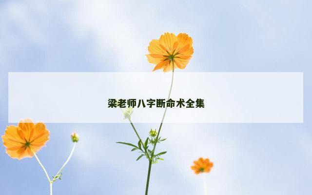 梁老师八字断命术全集