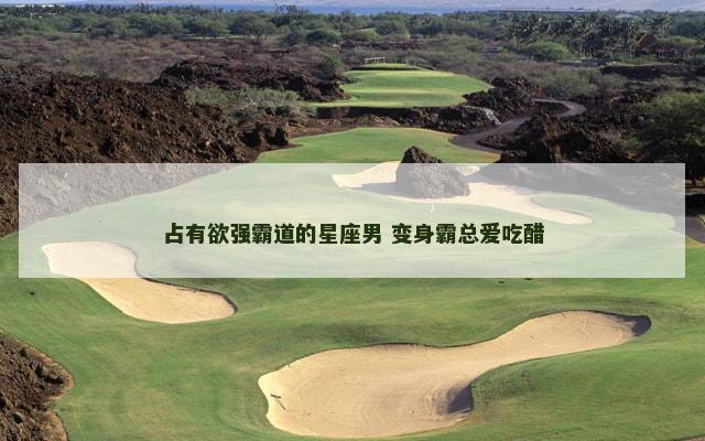占有欲强霸道的星座男 变身霸总爱吃醋