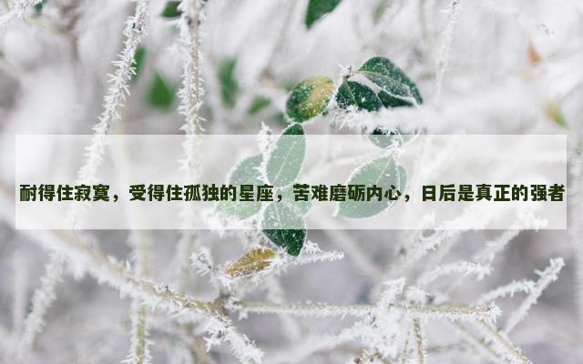 耐得住寂寞，受得住孤独的星座，苦难磨砺内心，日后是真正的强者