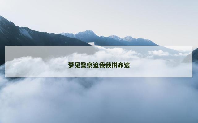 梦见警察追我我拼命逃