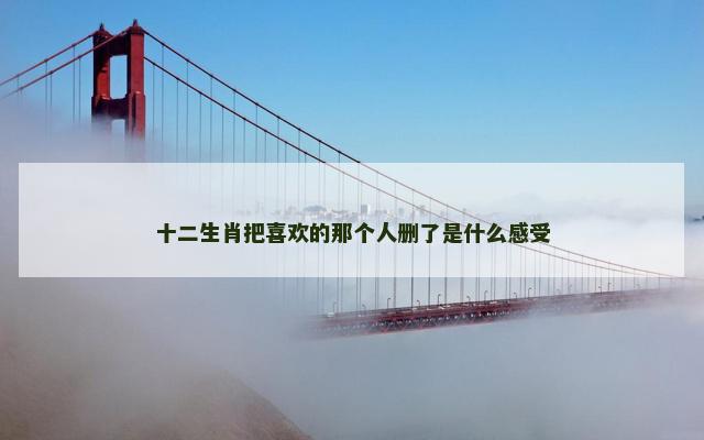 十二生肖把喜欢的那个人删了是什么感受