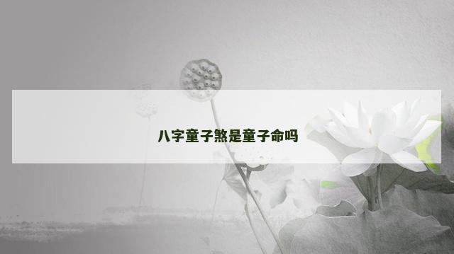 八字童子煞是童子命吗