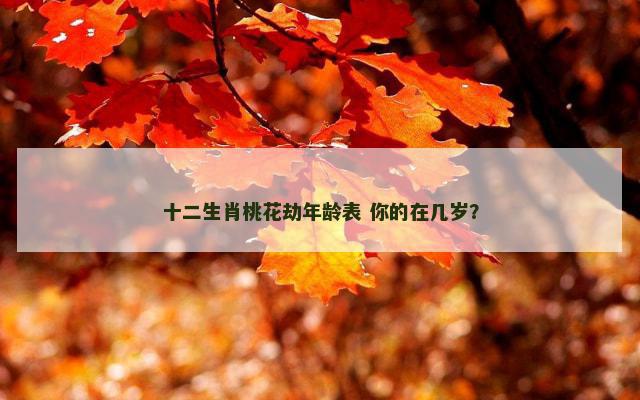 十二生肖桃花劫年龄表 你的在几岁？