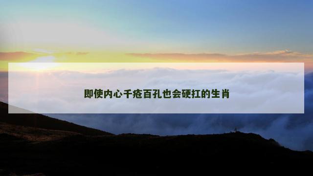 即使内心千疮百孔也会硬扛的生肖