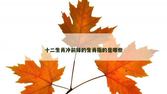 十二生肖冲前锋的生肖指的是哪些