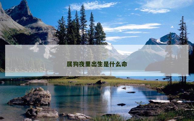 属狗夜里出生是什么命