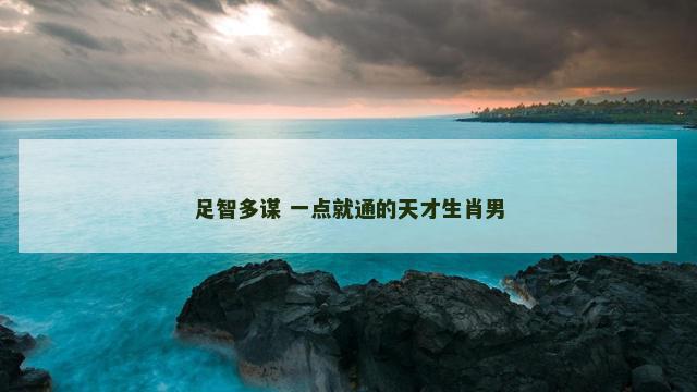 足智多谋 一点就通的天才生肖男
