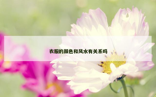 衣服的颜色和风水有关系吗
