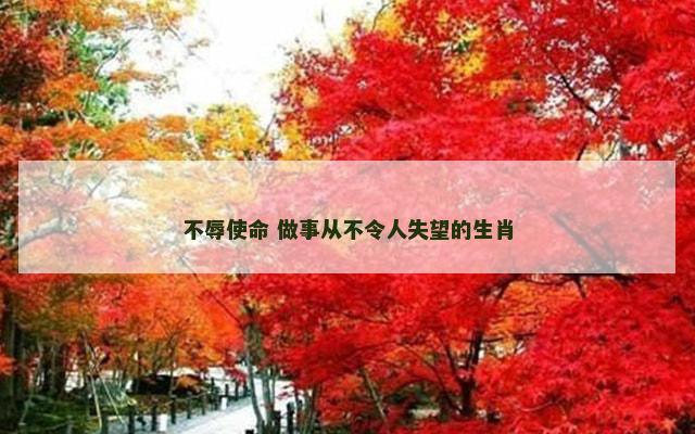 不辱使命 做事从不令人失望的生肖