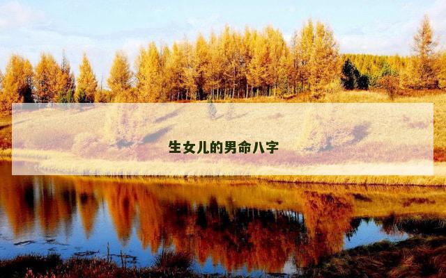 生女儿的男命八字
