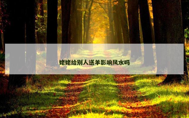 姥姥给别人送羊影响风水吗