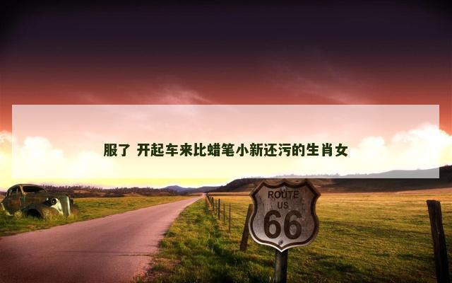 服了 开起车来比蜡笔小新还污的生肖女